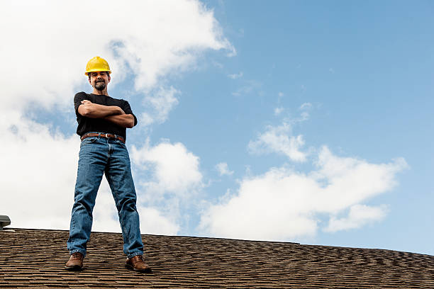 Best Metal Roofing Contractor  in Luna Pier, MI
