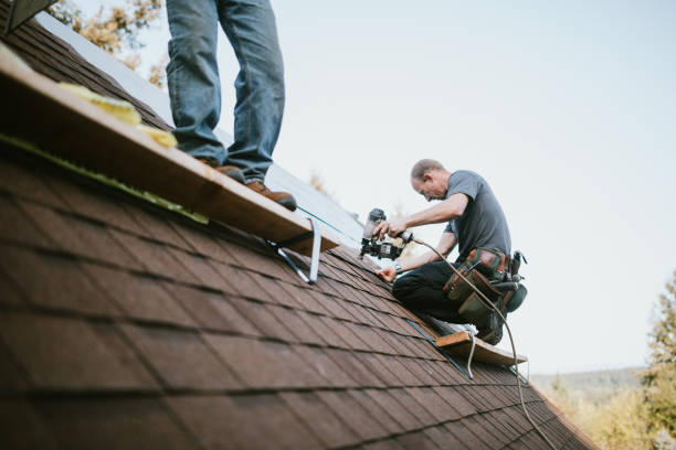 Best Local Roofing Companies  in Luna Pier, MI
